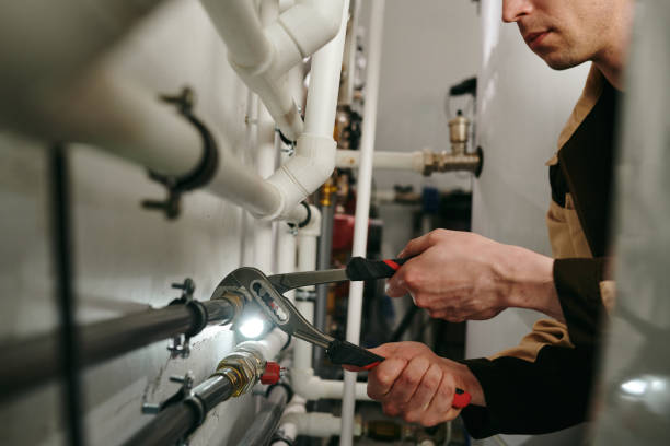 Best Residential Plumbing Services  in Fowler, MI