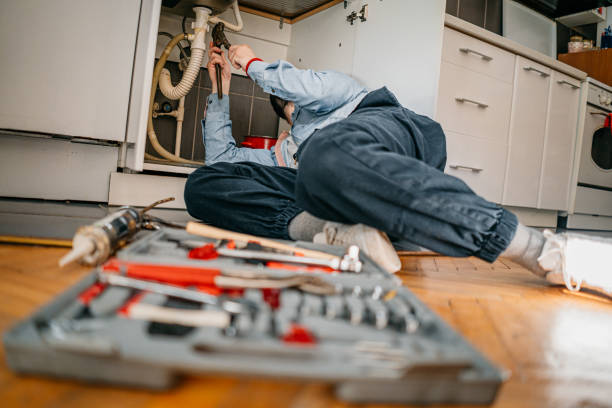 Best 24-Hour Plumber Near Me  in Fowler, MI