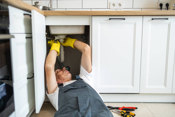 Best Sewer Line Repair  in Fowler, MI
