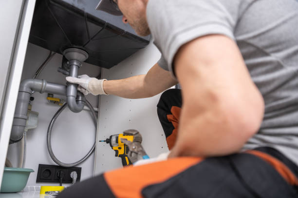 Best Local Plumber Services  in Fowler, MI