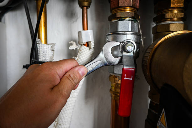 Best Emergency Plumber  in Fowler, MI